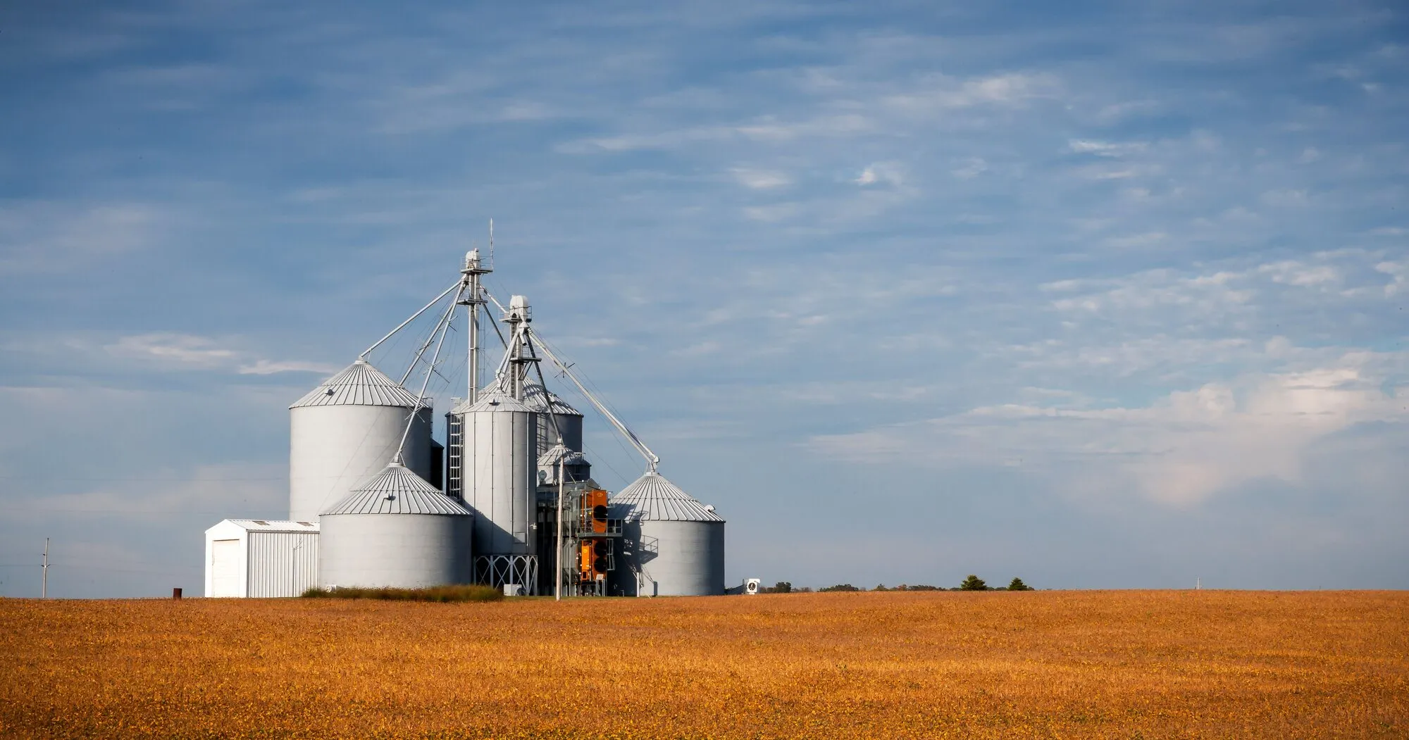 Steel grain bins and a grain elevator beyond a golden harvest field