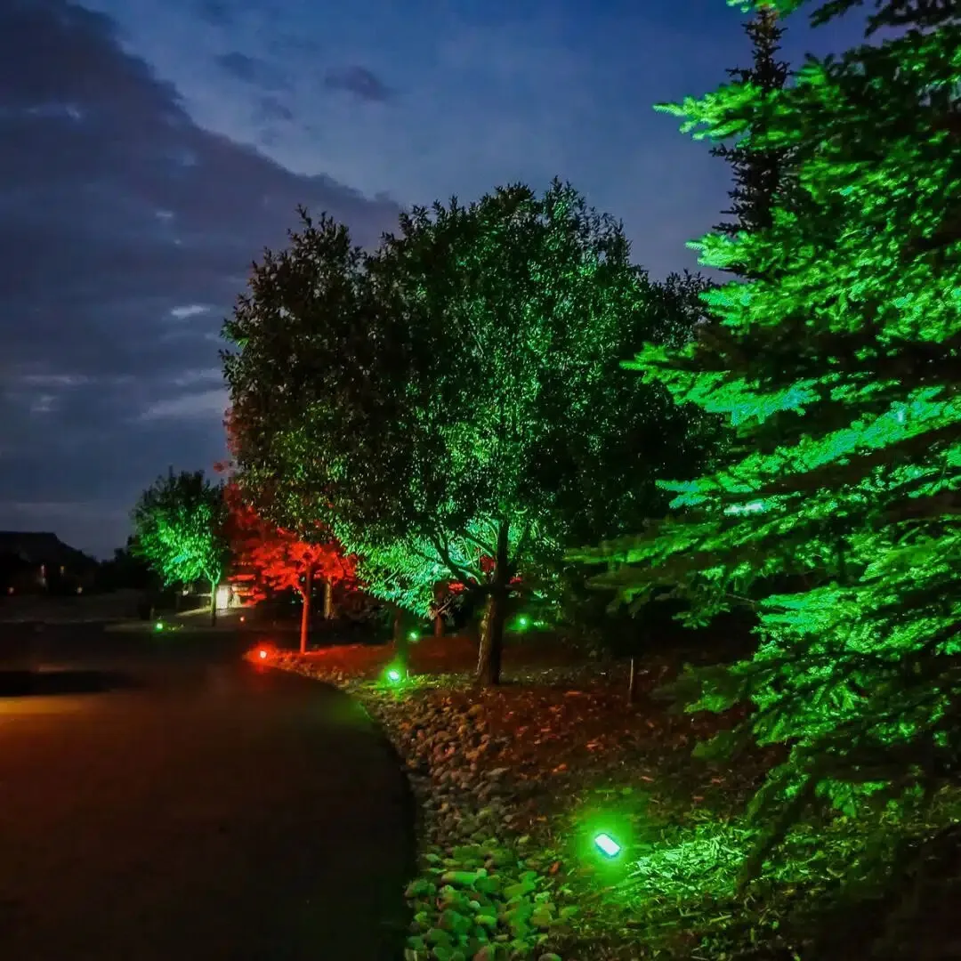 Trees uplit in green and red by Gemstone landscape flood lights at night