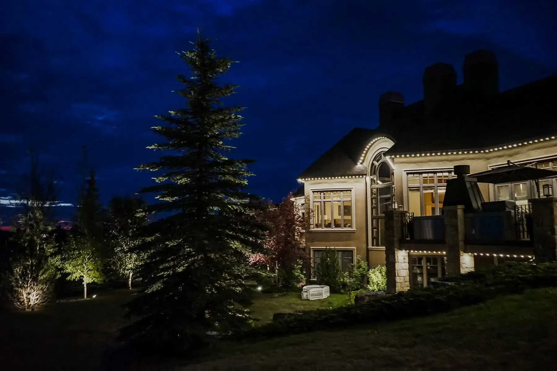 Spruce uplit beside a home with roofline lighting at dusk